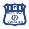 North Star Nebula Logo