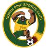 North Pine Over 45 Silverbacks Logo