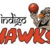 Indigo Hawks Logo