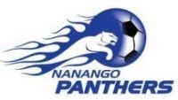 Nanango Division 1