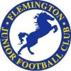 Flemington Juniors/Yarraville Seddon Eagles Logo