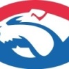 Puckarook Logo