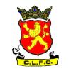 Cringila Lions FC Logo