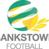 Panania Diggers SC - Bankstown Association Logo