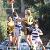 2016 Round 4 - Werribee Districts v Albion RESERVES