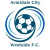Armidale City White Logo