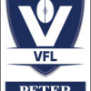 V F L Logo