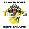 Tigers Under 12 Boys Div 1 - Summer 2023 Logo