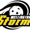 Storm Spiderpigs Logo