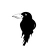 Balgownie Crows D2 Logo