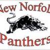 New Norfolk Logo