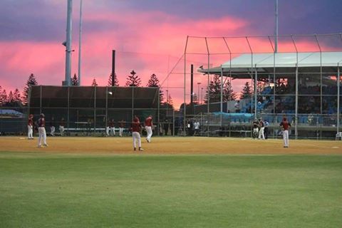 Softball SA - Diamond Sports