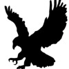 Blackhawks Logo