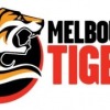 Melbourne Tigers U14 Girls Logo