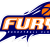 Fury Playoff P Logo