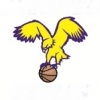 Mansfield Eagles - Taylor Logo