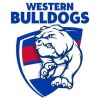 Lets go Doggies!