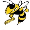 Stingers Logo