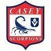 Casey Scorpions Logo