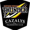 NT Thunder Logo