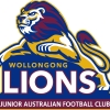 2017 Wollongong Lions U15 Logo