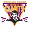 Huddersfield Giants Academy Logo