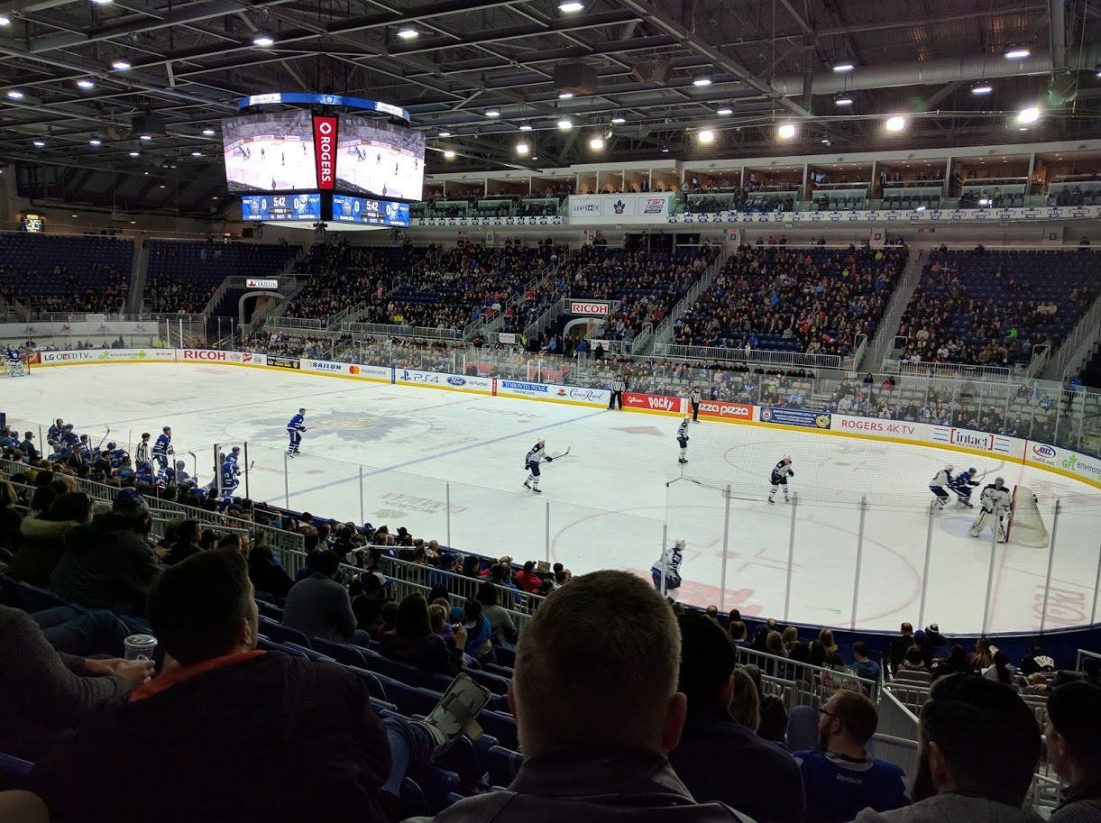 The Dingos take in the Marlies playing the Manitoba Moose