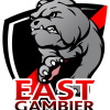 East Gambier Football Club Logo