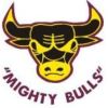 Quinns Rocks Bulls  Logo
