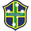 Brozzy Logo