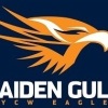 Maiden Gully Y.C.W Eagles Logo
