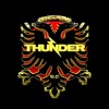 Dandenong Thunder SC Logo