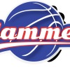 South West Slammers Logo