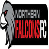 Northern Falcons SC Logo