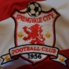 Springvale City SC Logo