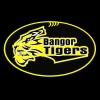 Bangor Tigers U17 - 2 Logo