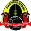 Bacchus Marsh Cobras Logo