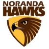 Noranda (C4) Logo