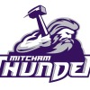 Mitcham 03 Logo