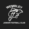 Y4 - Wembley White Logo