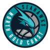 NGC Seahawks 2 Logo