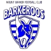 Mt Barker U16 Girls Logo