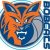 Peninsula Bobcats U/16 Boys Logo