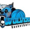 Wolverines Blue MD1 Logo