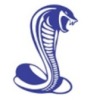 2021 Sandown Seniors  Logo