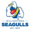 2021 Williamstown Reserves Logo