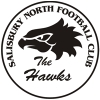 Salisbury North JFC U13 Logo