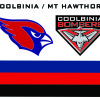 Coolbinia/Mt Hawthorn Y11/12 Logo