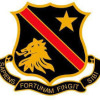 Hamilton Boys High School 3rd XI Logo