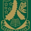 Lynfield College 1st XI Boys Logo